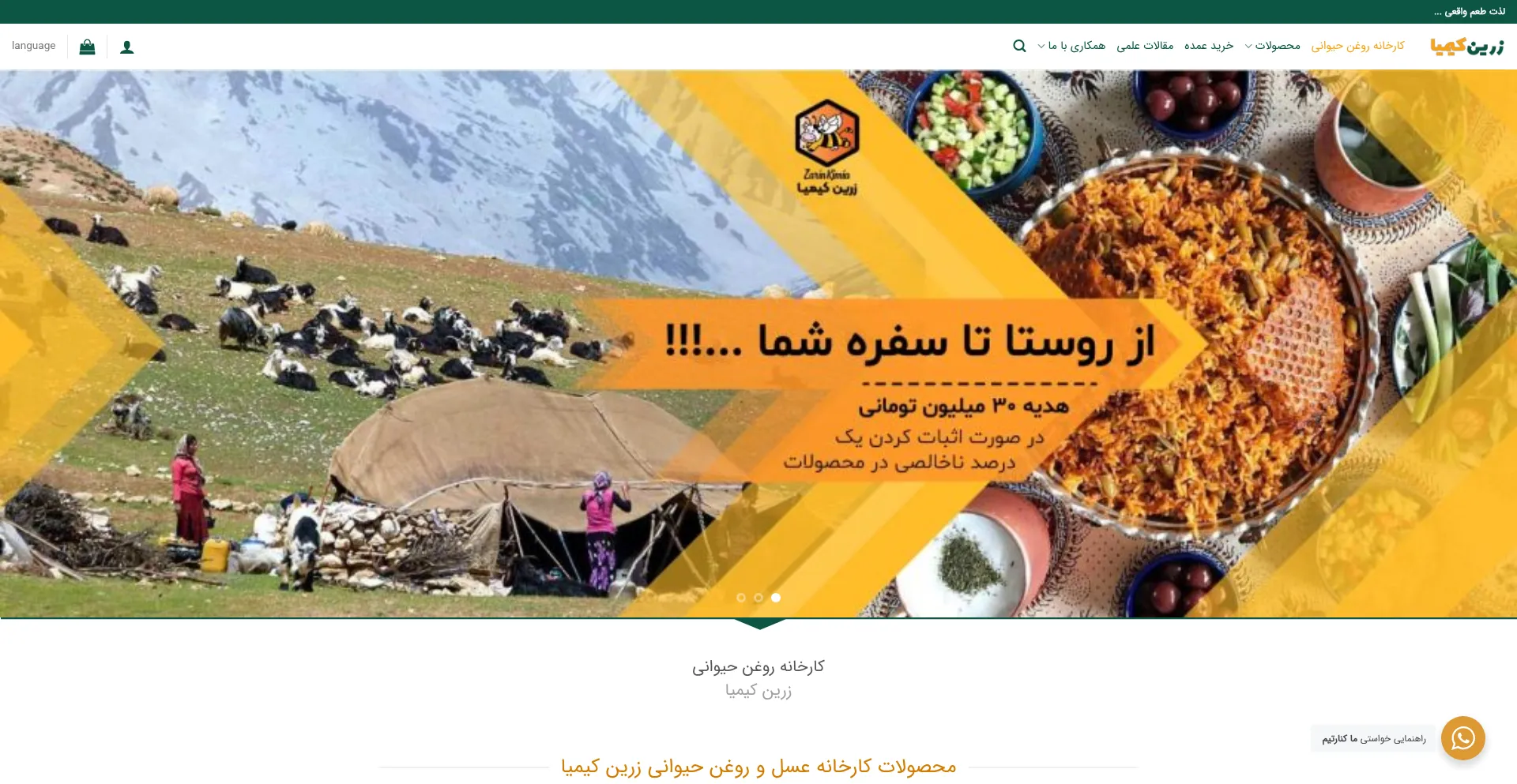 Website screenshot of Zarinkimia.com