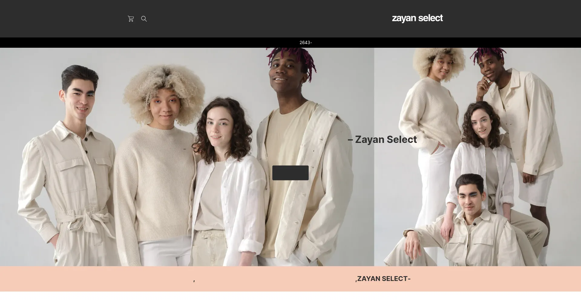 Website screenshot of Zayan-select.com