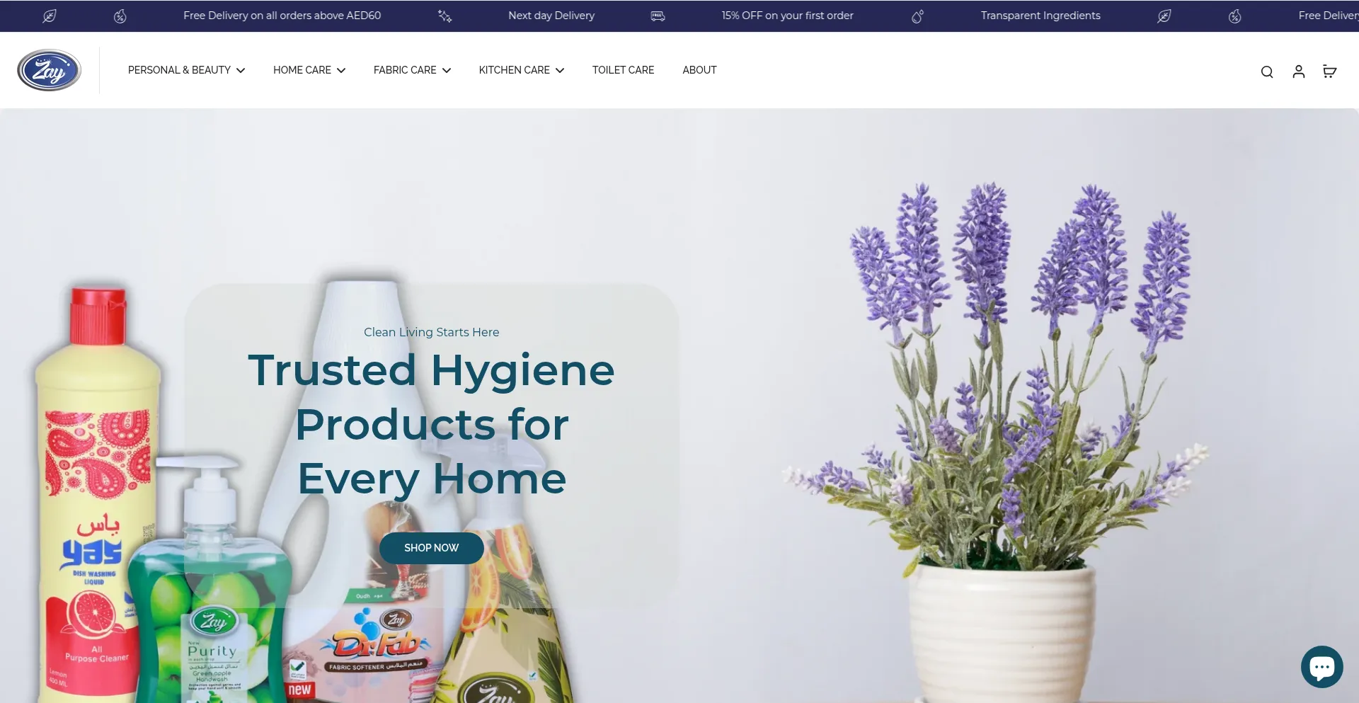 Website screenshot of Zayonline.com