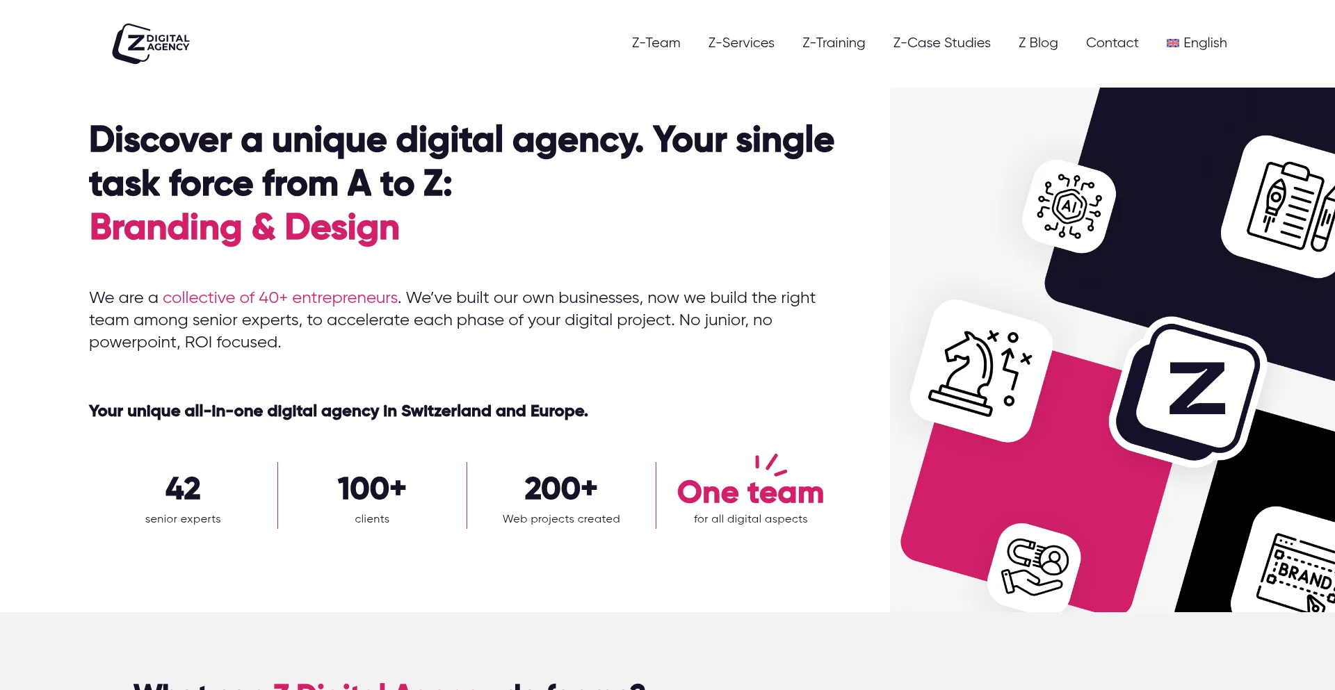 Website screenshot of Zdigitalagency.com