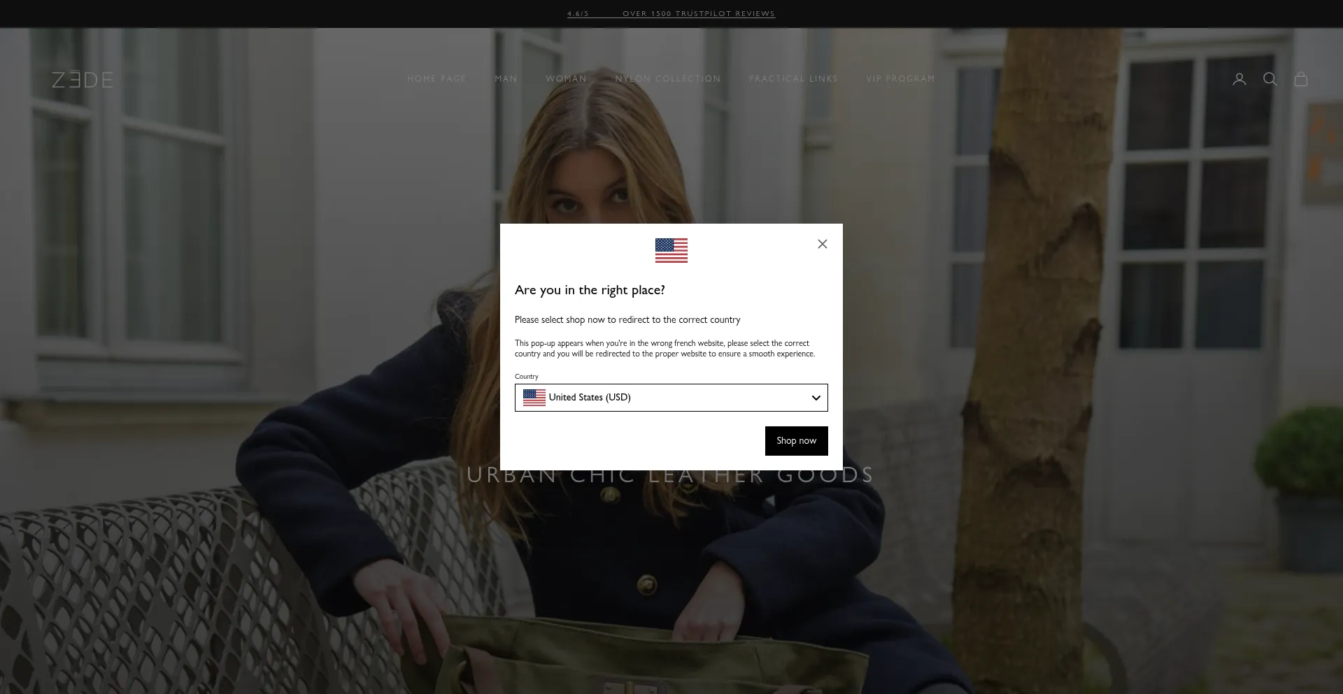 Website screenshot of Zede-paris.com