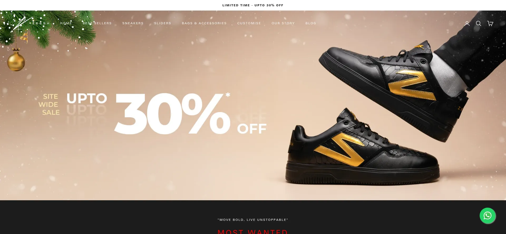 Website screenshot of Zeesh.co.in