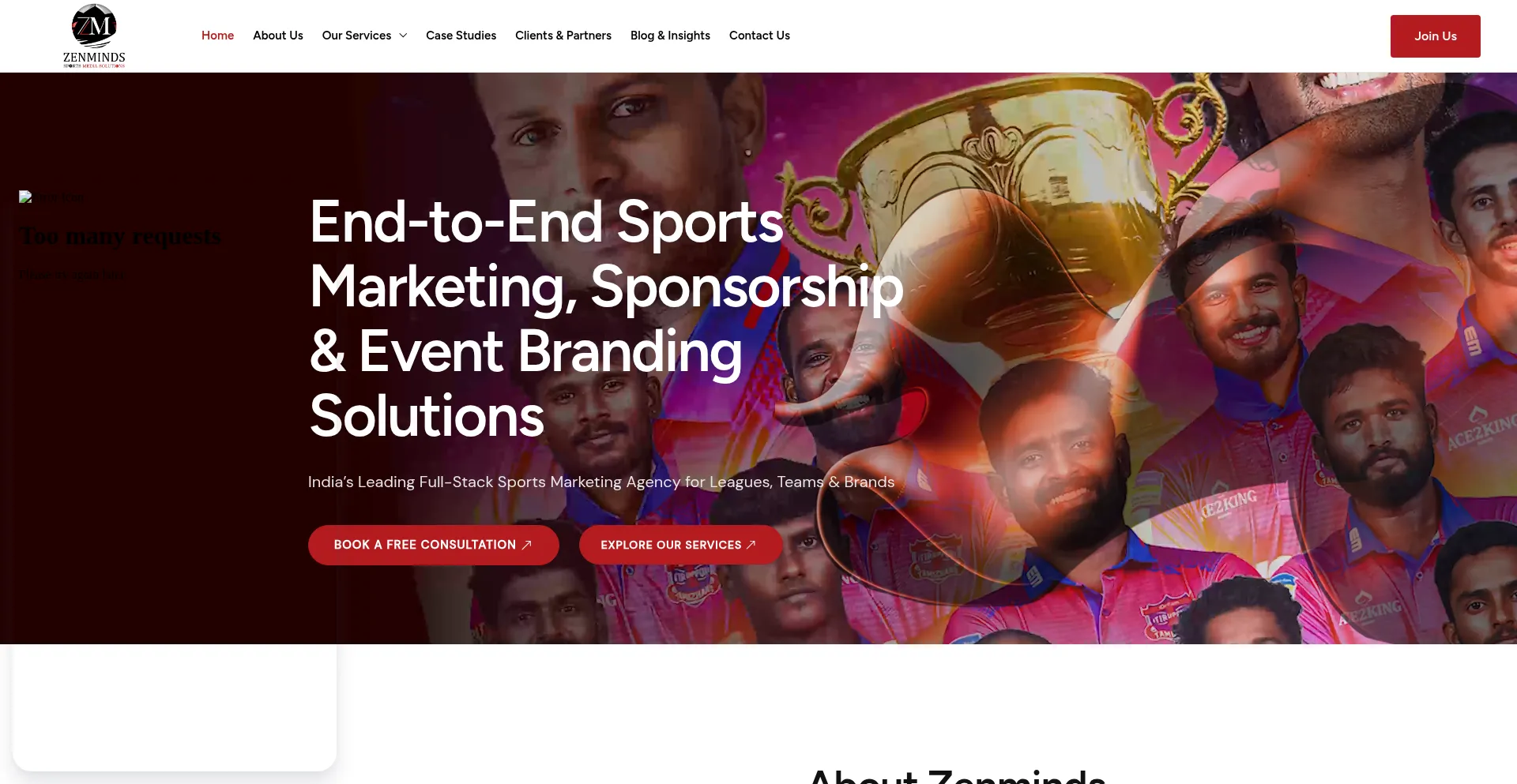 Zenmindsmediasolutions.com
