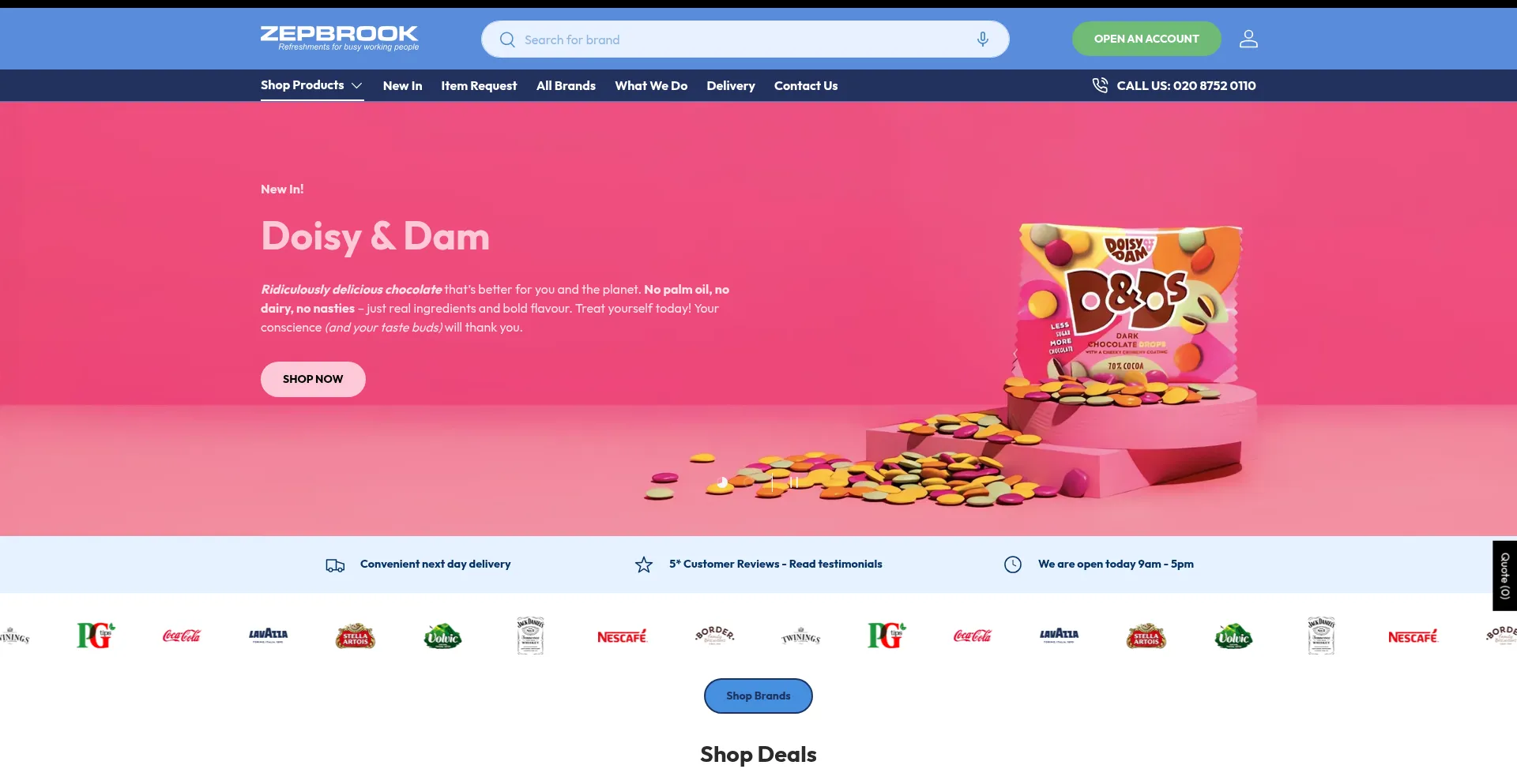 Website screenshot of Zepbrook.co.uk