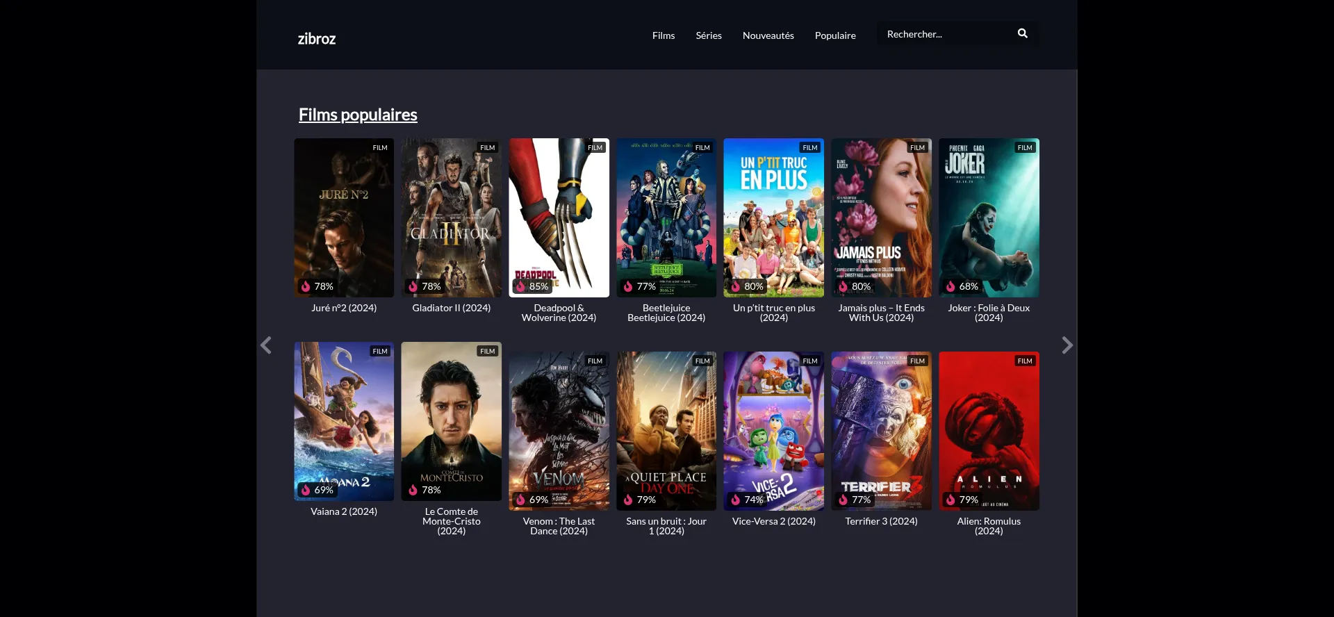 Website screenshot of Zibroz.fr