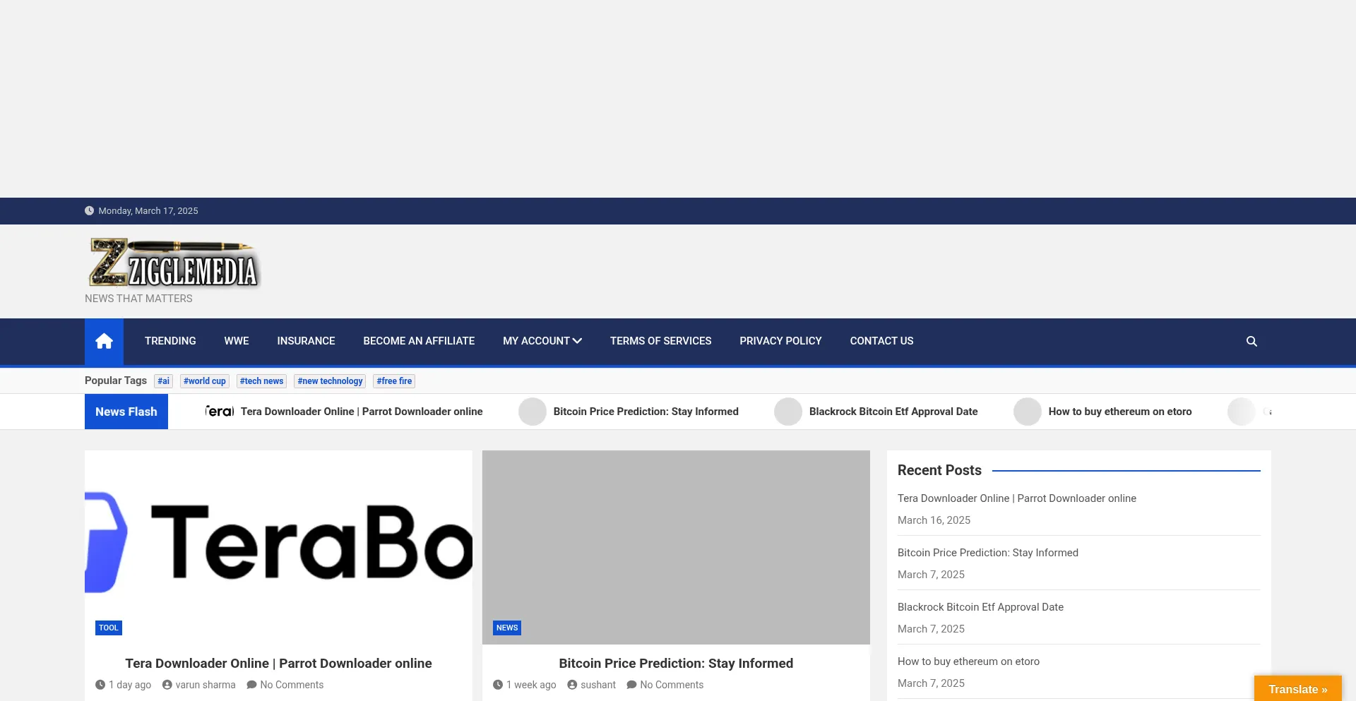 Website screenshot of Zigglemedia.com