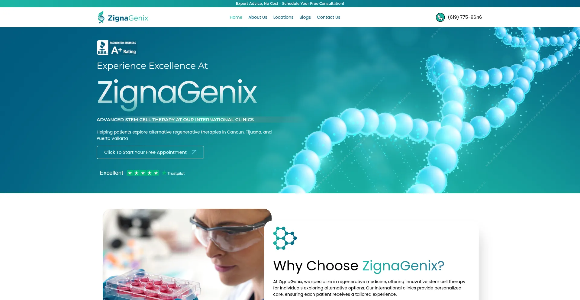 Website screenshot of Zignagenix.com