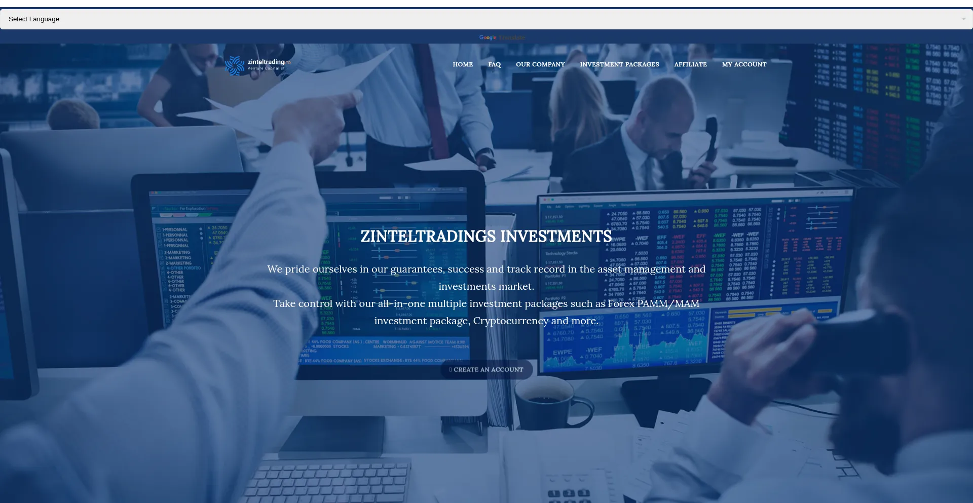 Website screenshot of Zinteltradings.com