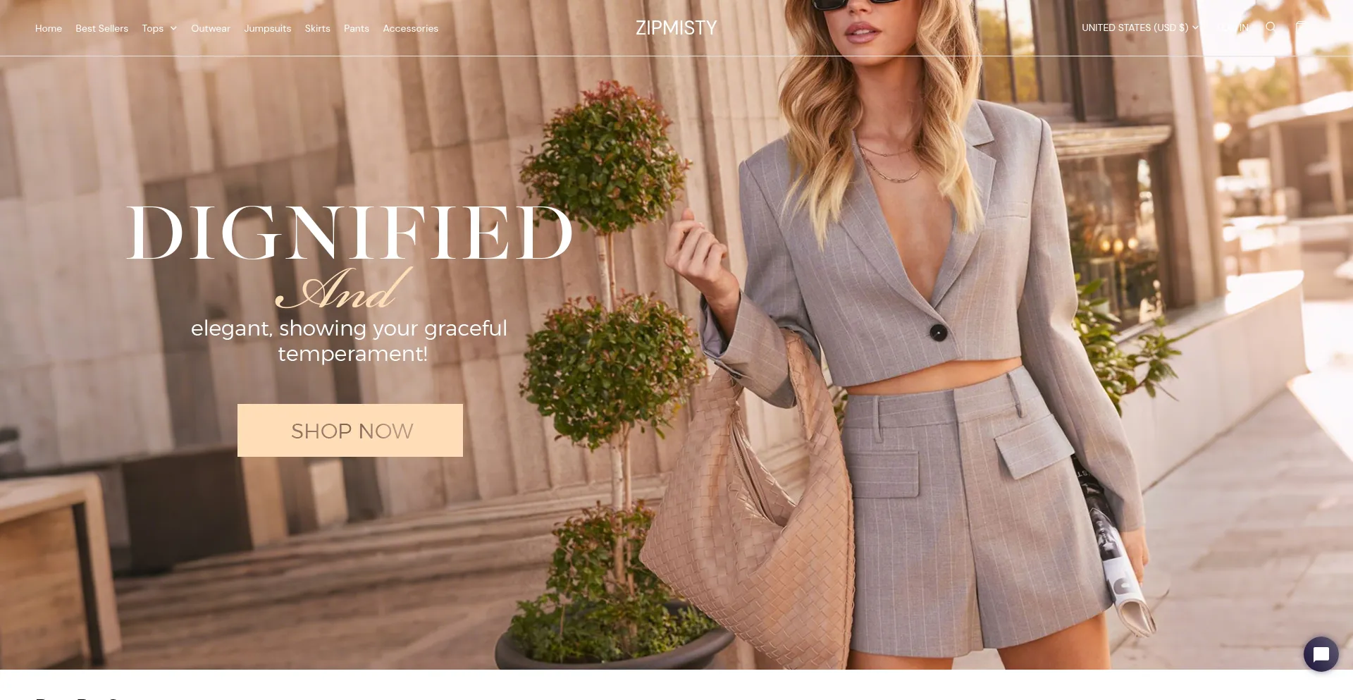 Website screenshot of Zipmisty.com