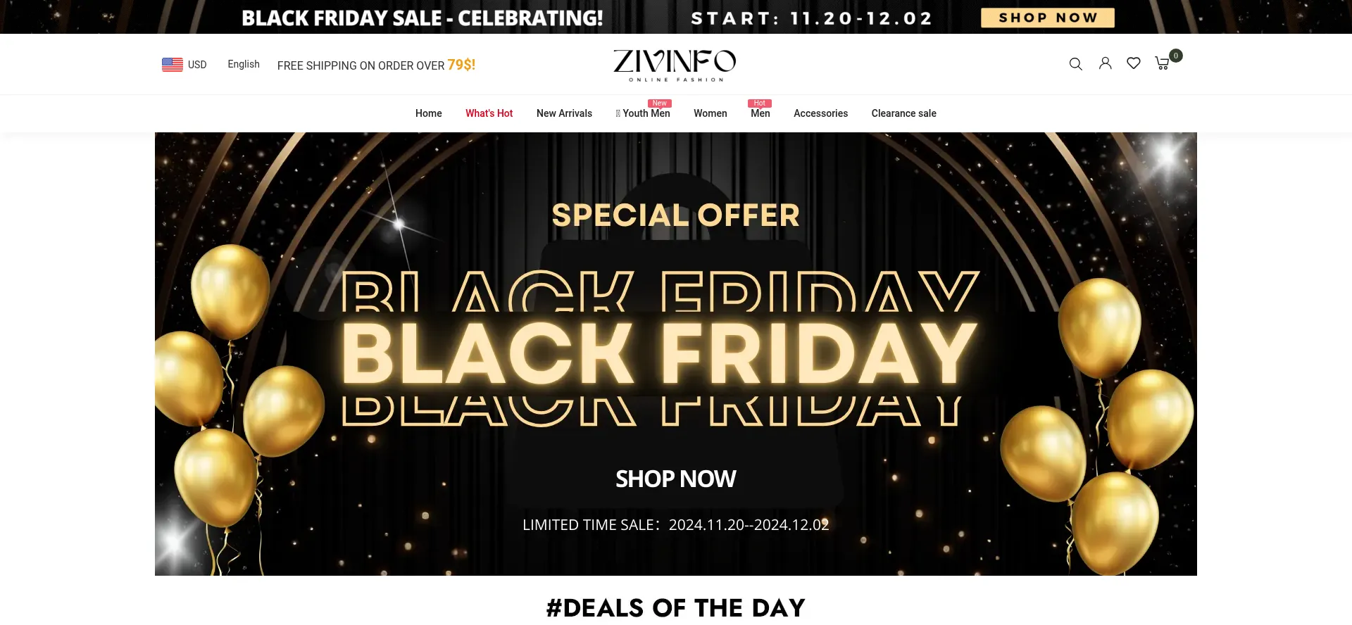 Website screenshot of Zivinfo.com