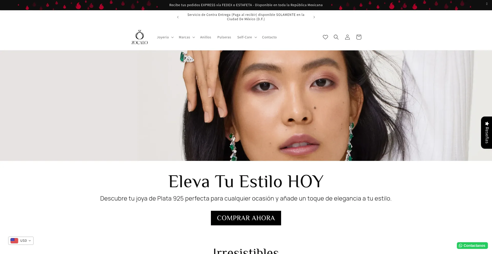 Website screenshot of Zocaloonline.com