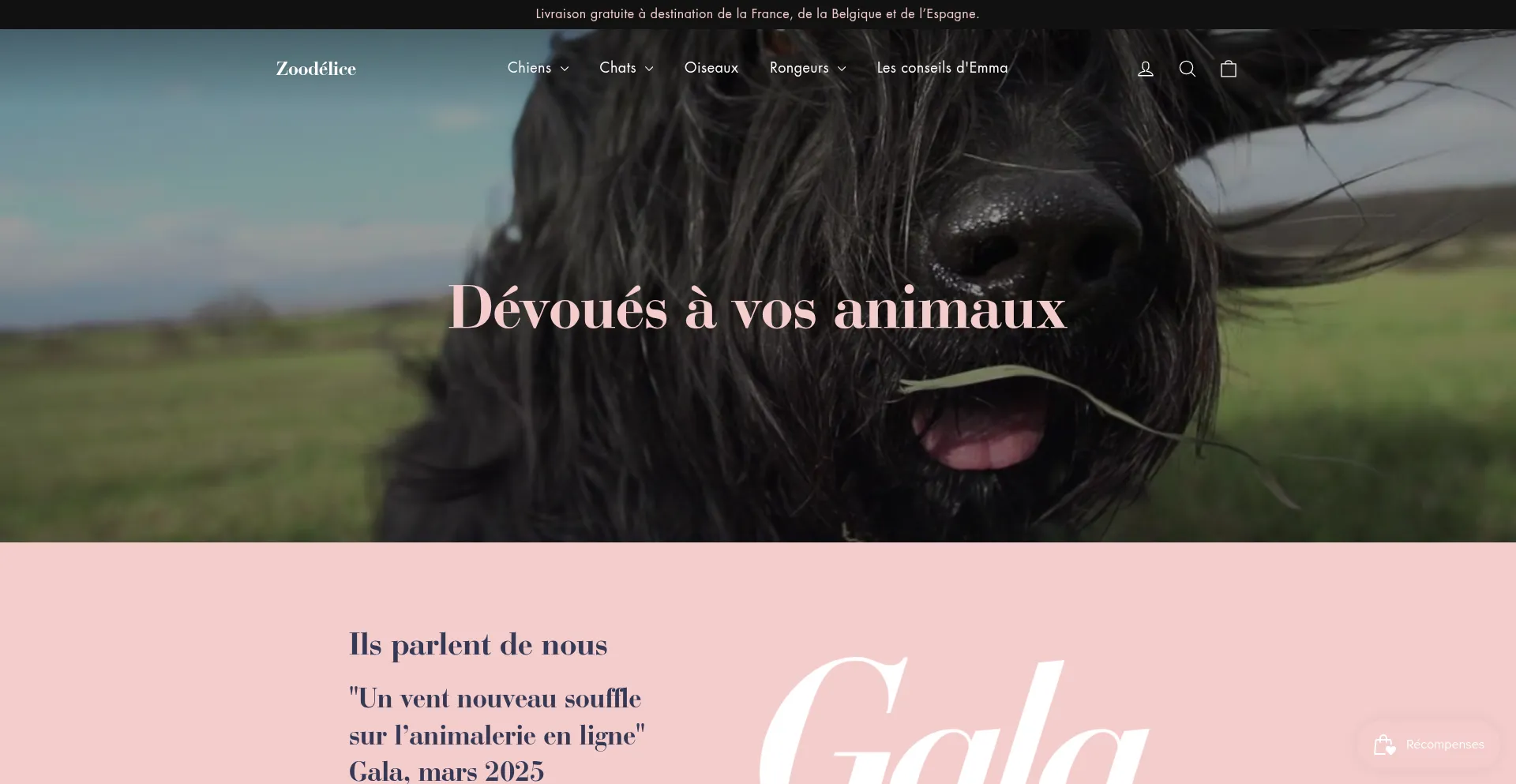 Website screenshot of Zoodelice.fr