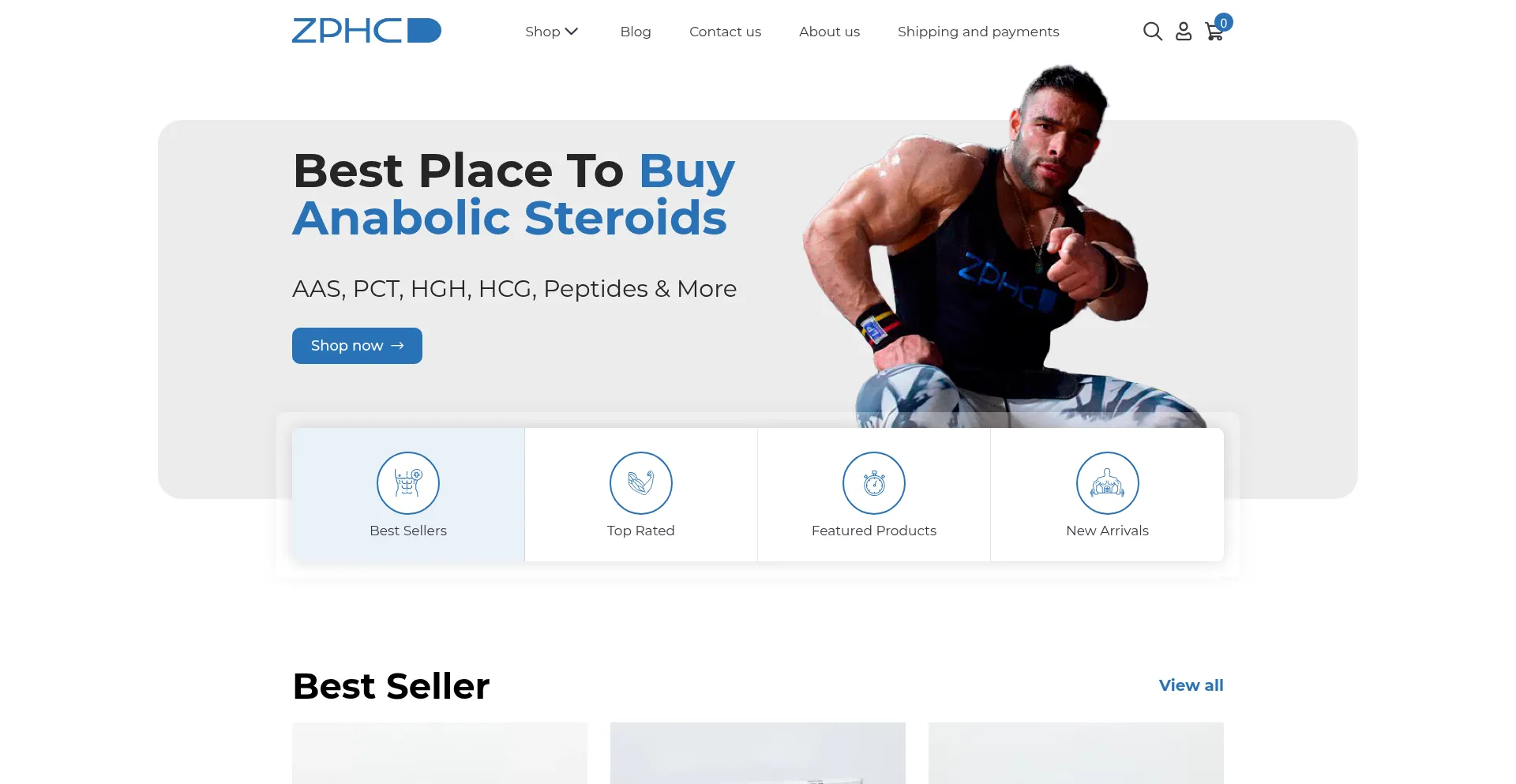 Website screenshot of Zphcpro.com