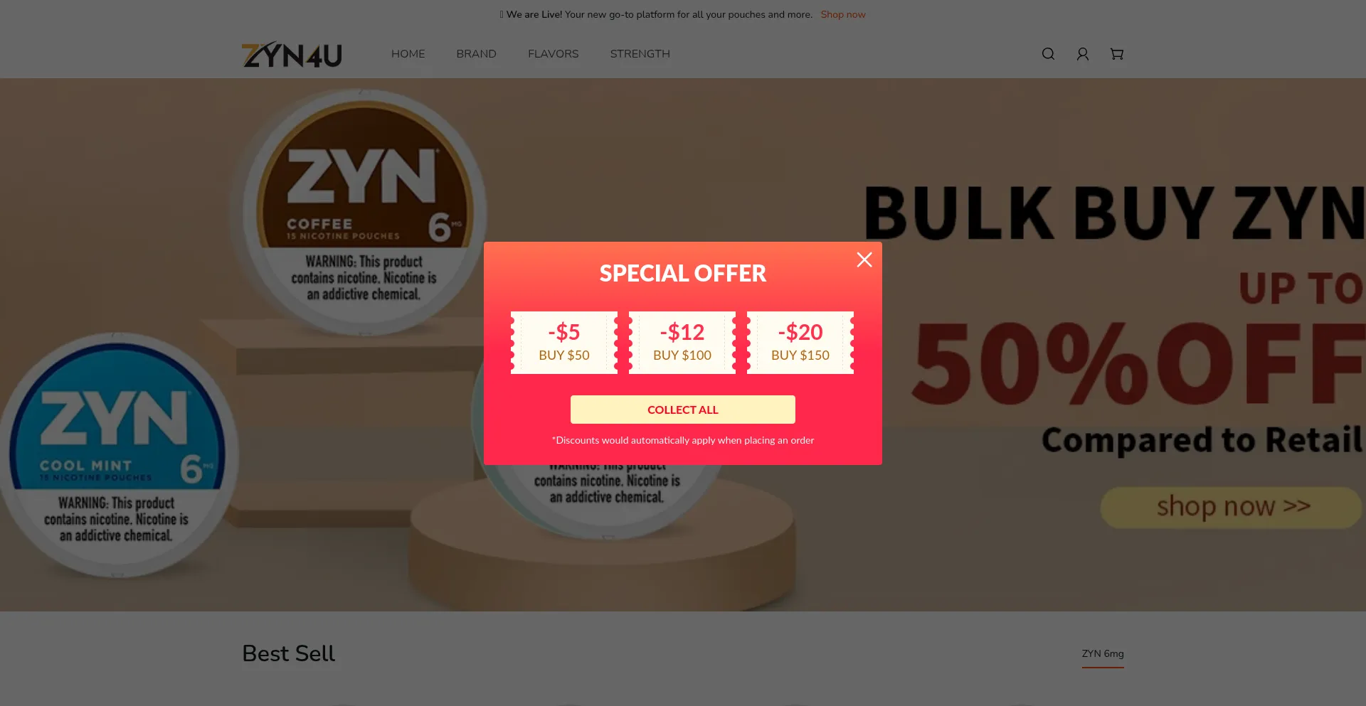 Website screenshot of Zyn4u.com