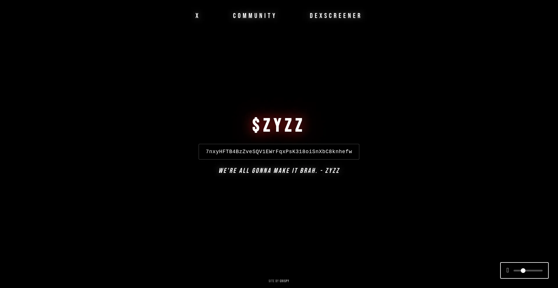 Zyzzcoin.fun